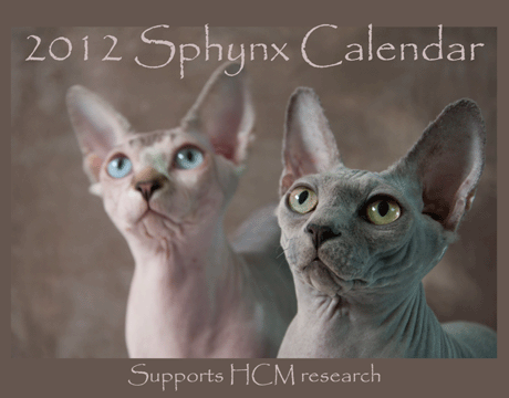 Sphynx Calendar 2012