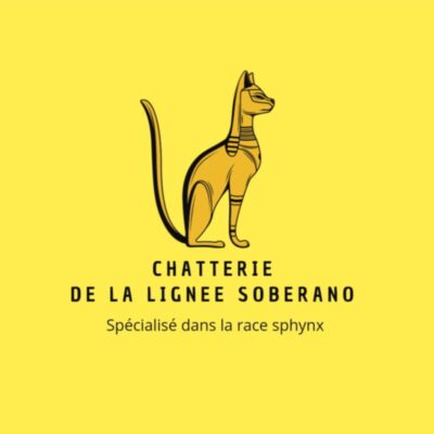chatterie de la lignee Soberano
