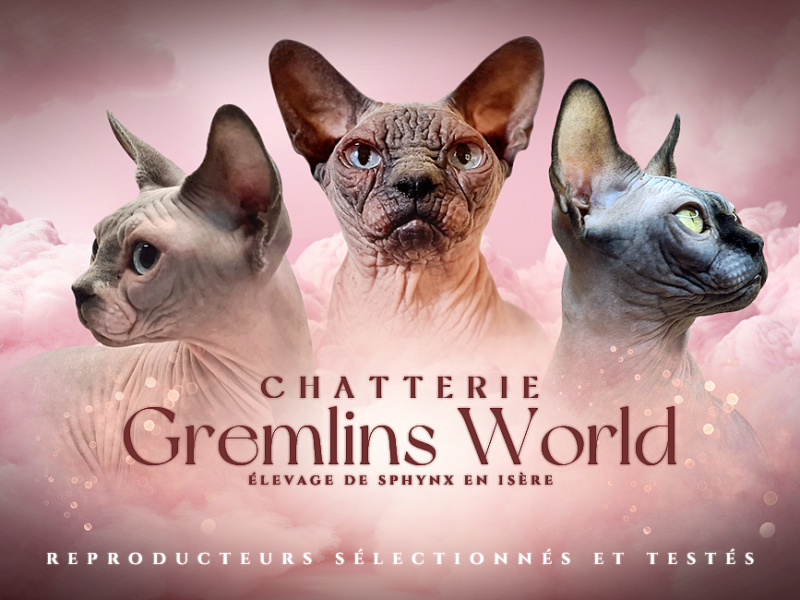 Chatterie Gremlins World