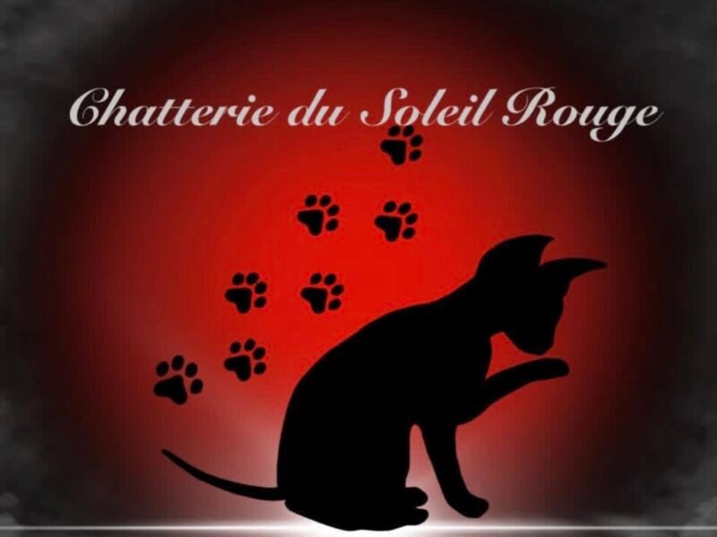 Chatterie soleil rouge