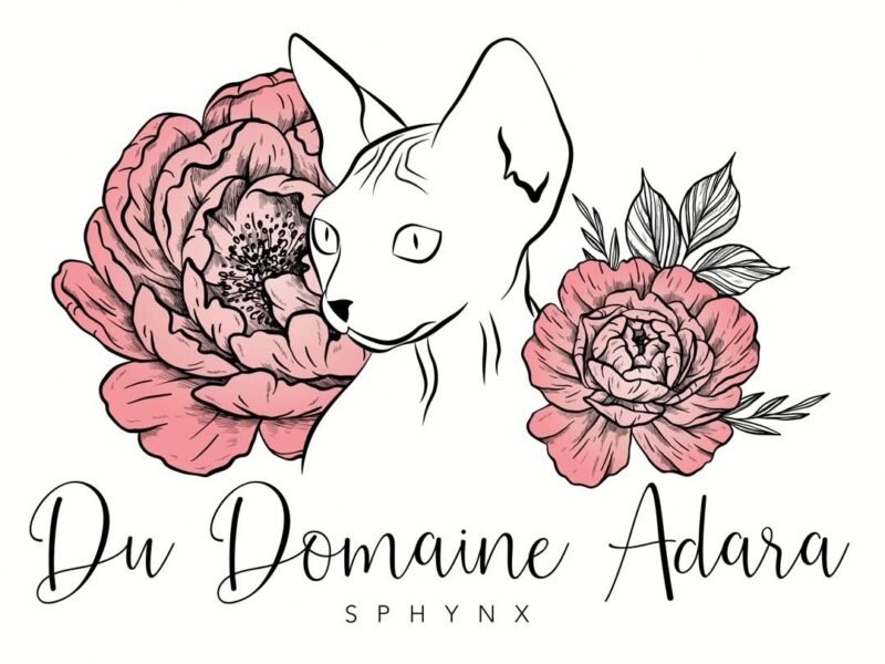 Chatterie du domaine Adara